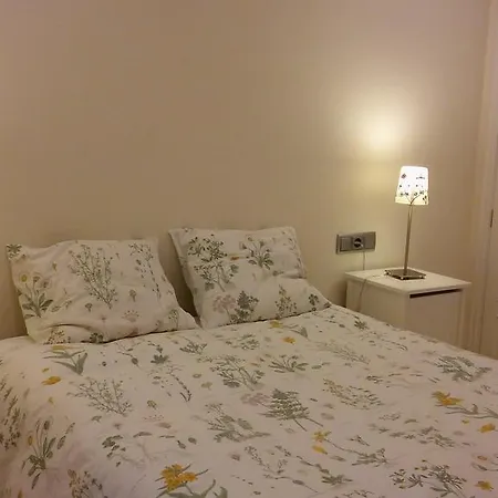 Apartamento Plaza De La Peregrina Pontevedra Vut-Po-03908 Exterior photo